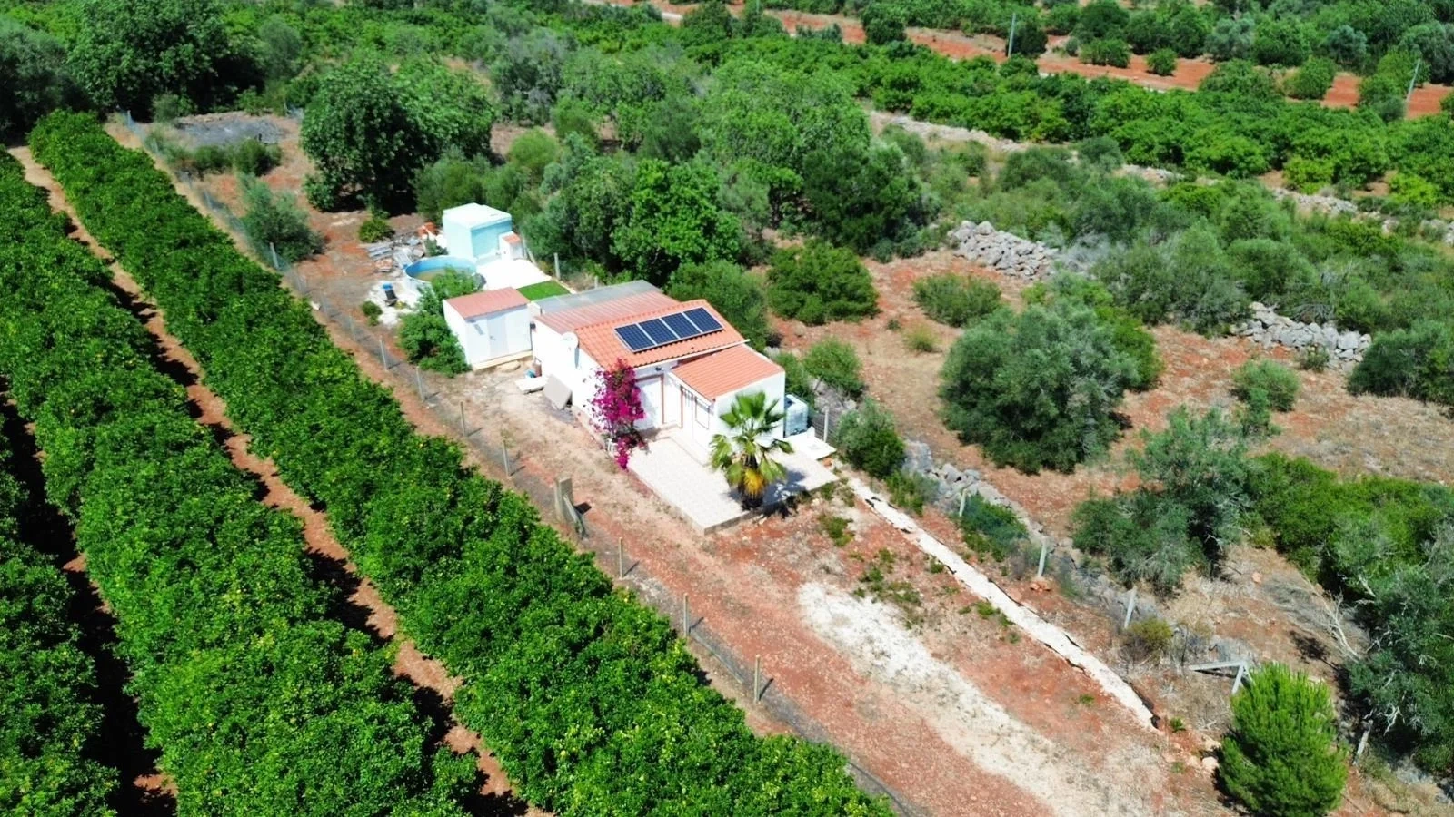1 - продажа территория silves алгарве португалия