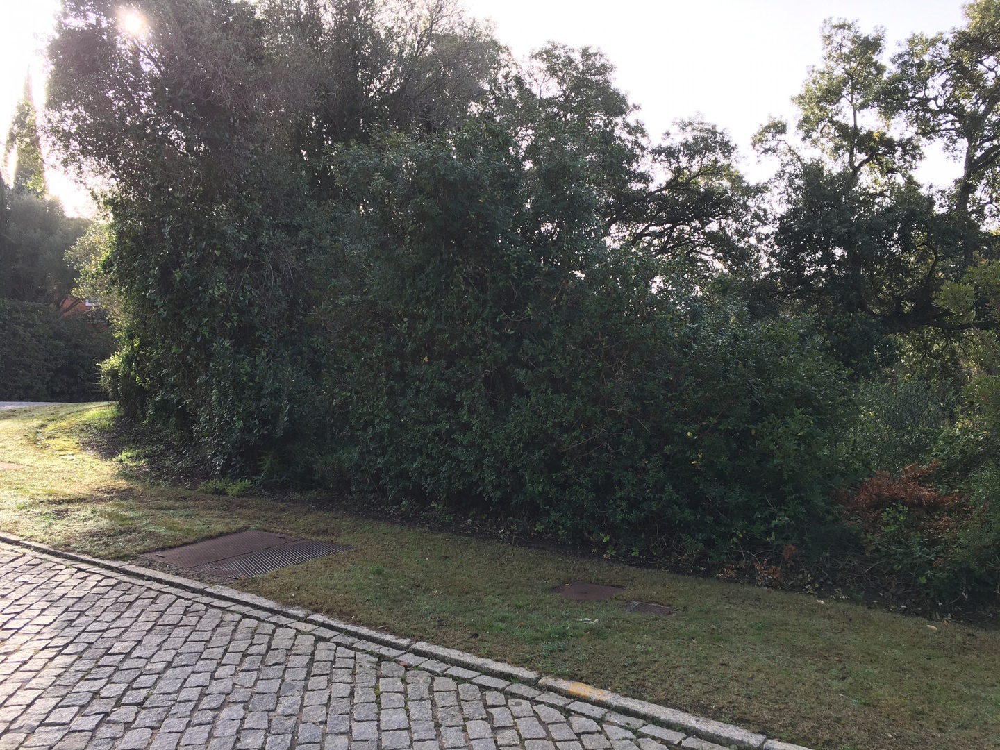 1 - plot of land for sale in sotogrande andalusia spain