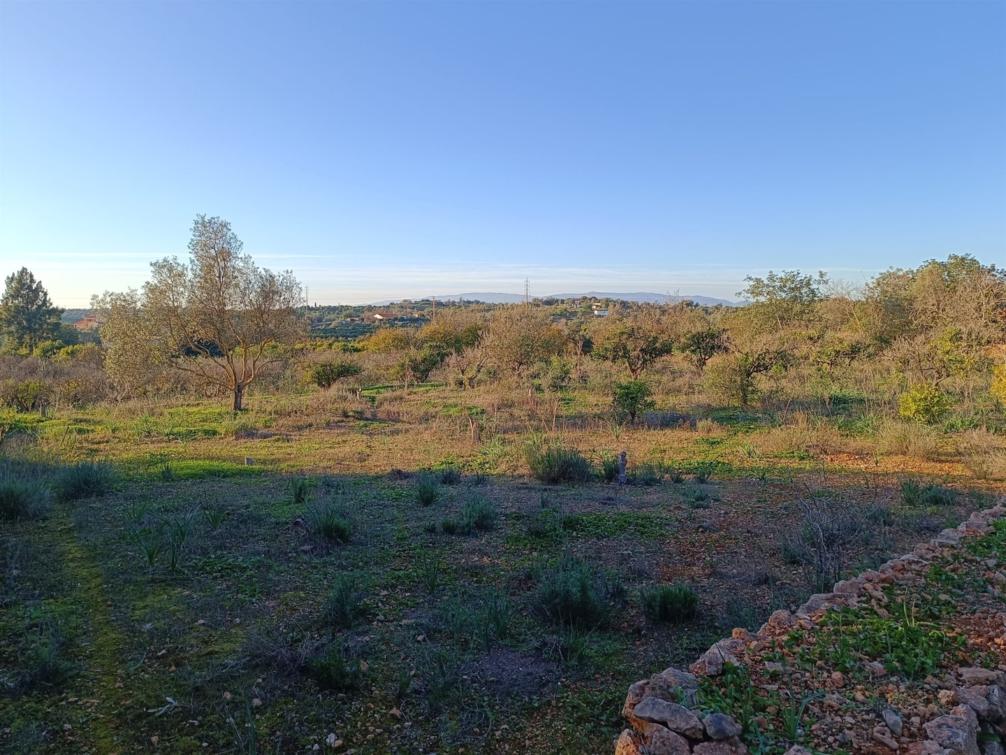 1 - plot of land for sale in silves algarve portugal