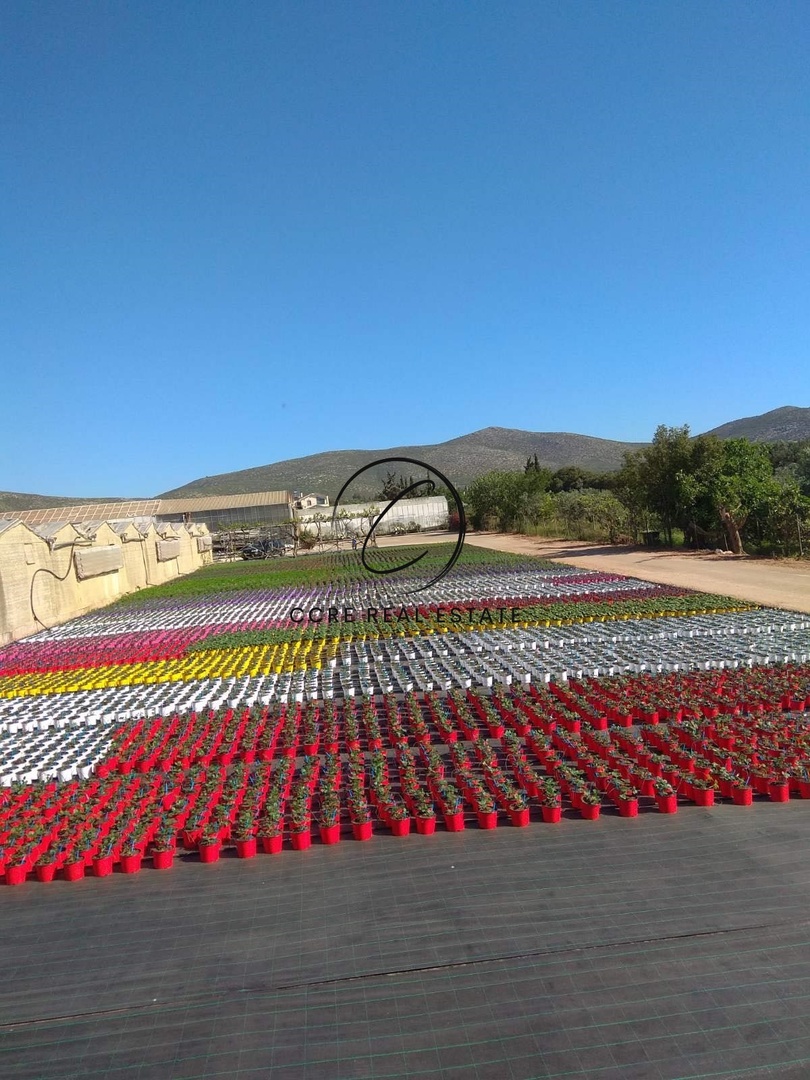 1 - venta terreno kato souli ática grecia