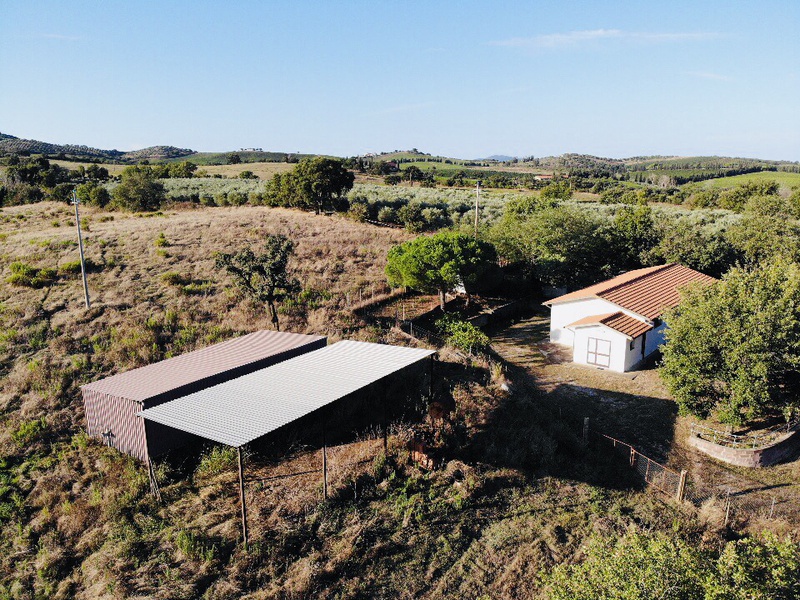 2 - vente terrain grosseto toscane italie