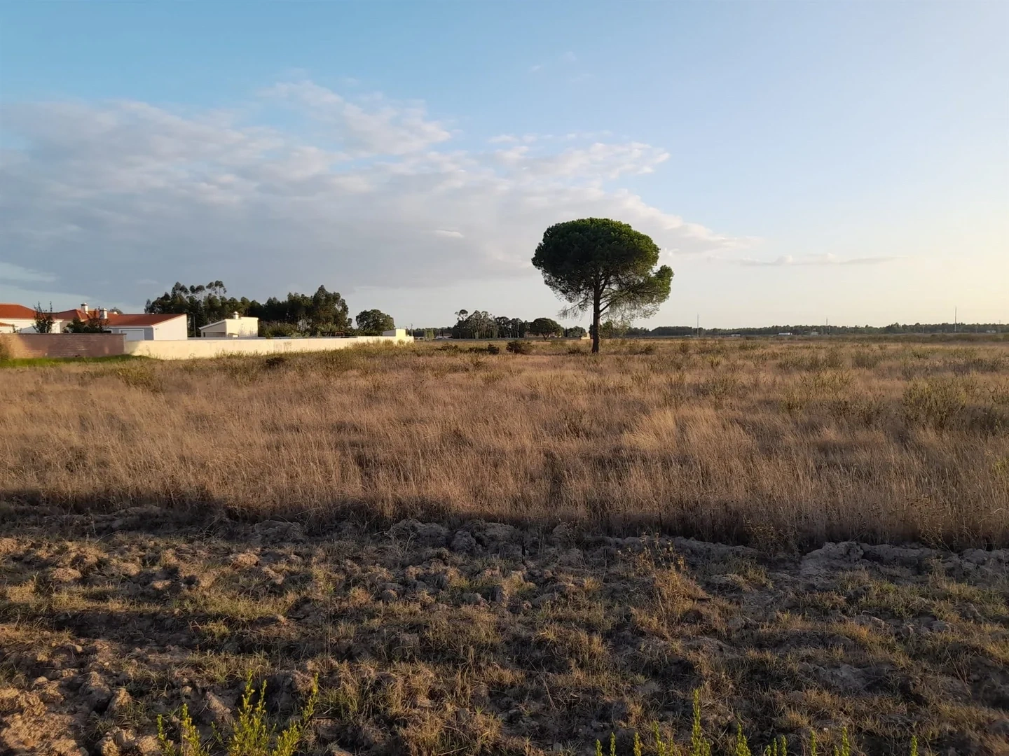 1 - vendita terreno granho alentejo portogallo