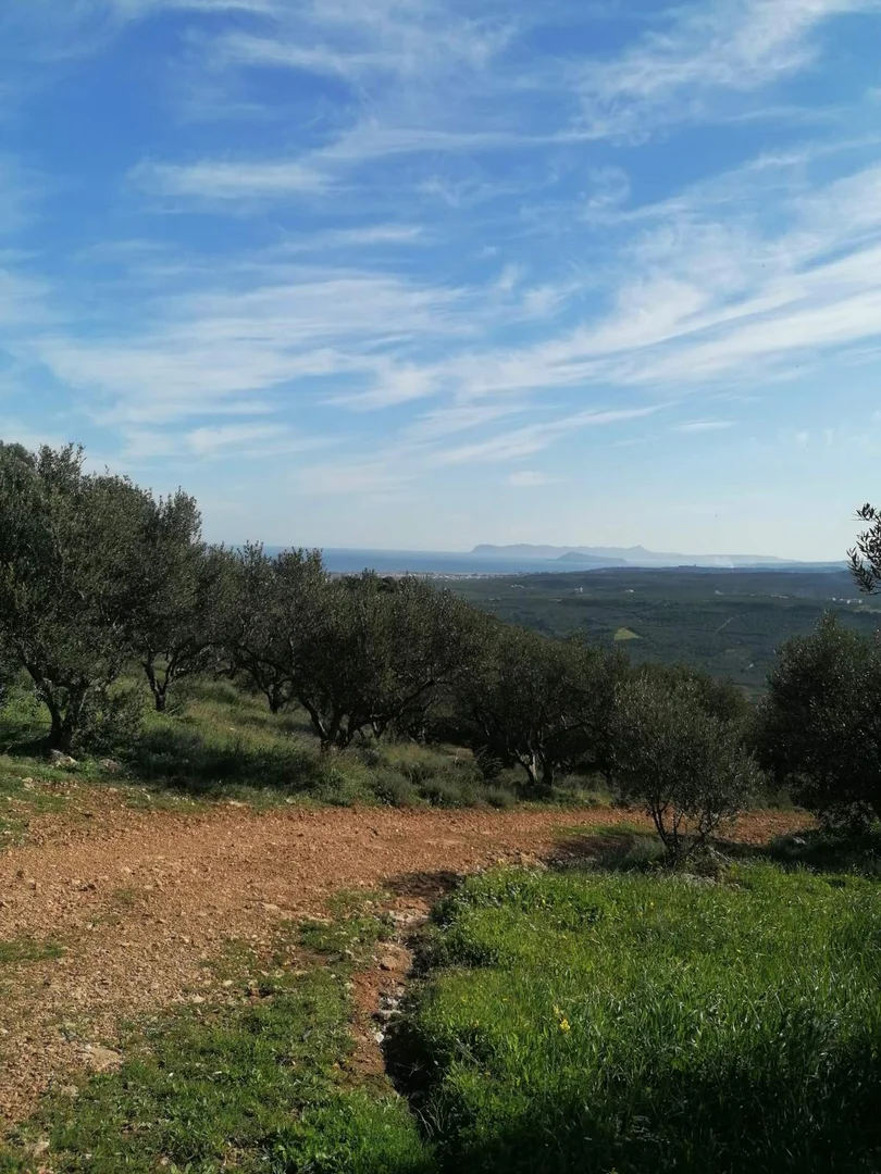 2 - vente terrain spiliá crète grèce