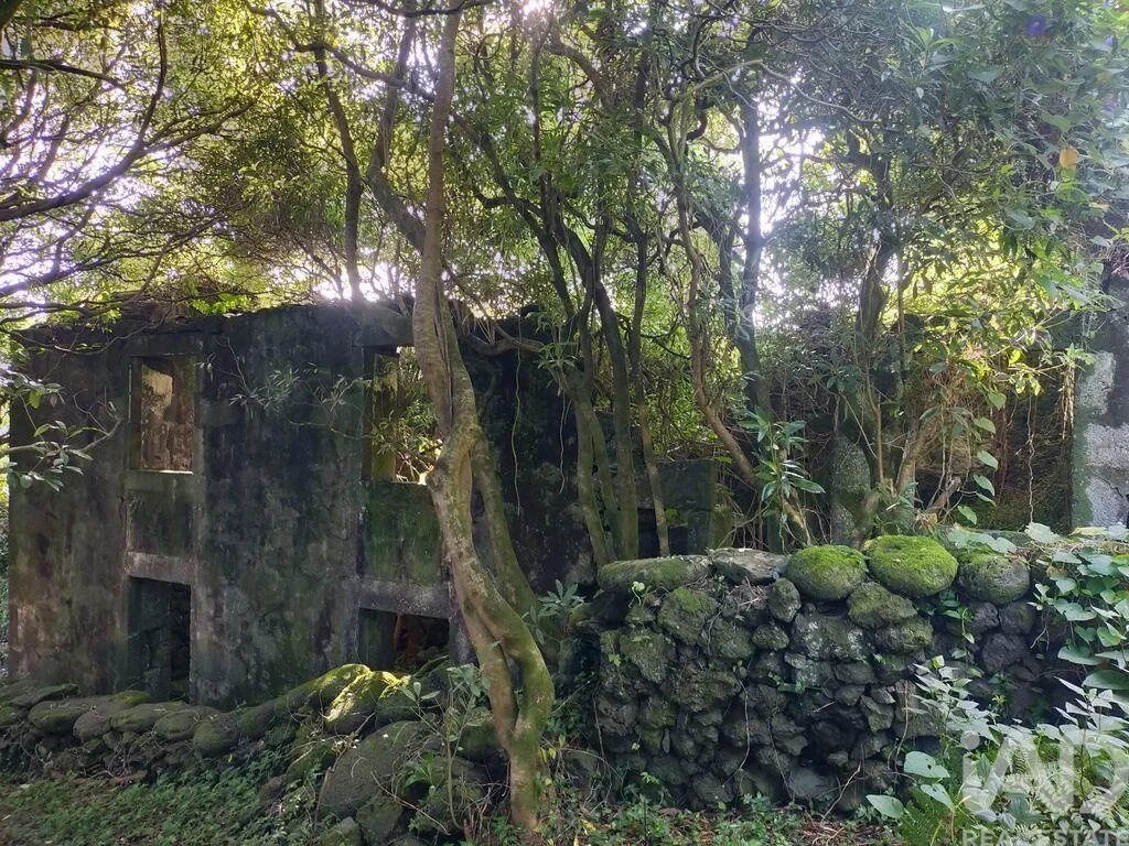 1 - sea view villa for sale in lajes do pico the azores portugal