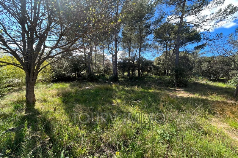 1 - plot of land for sale in garéoult var france