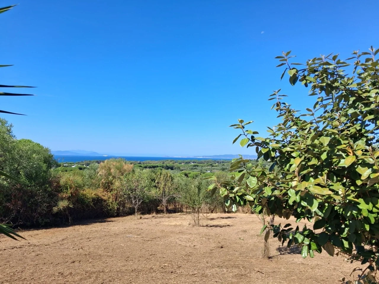 1 - plot of land for sale in follonica tuscany italy