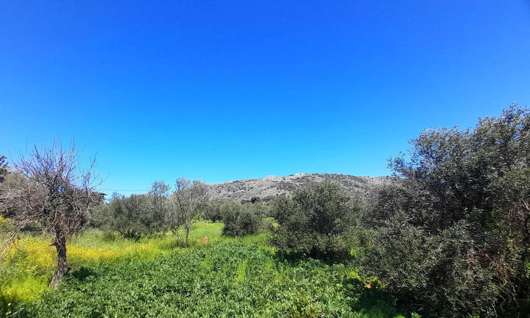 2 - vente terrain drápanos crète grèce