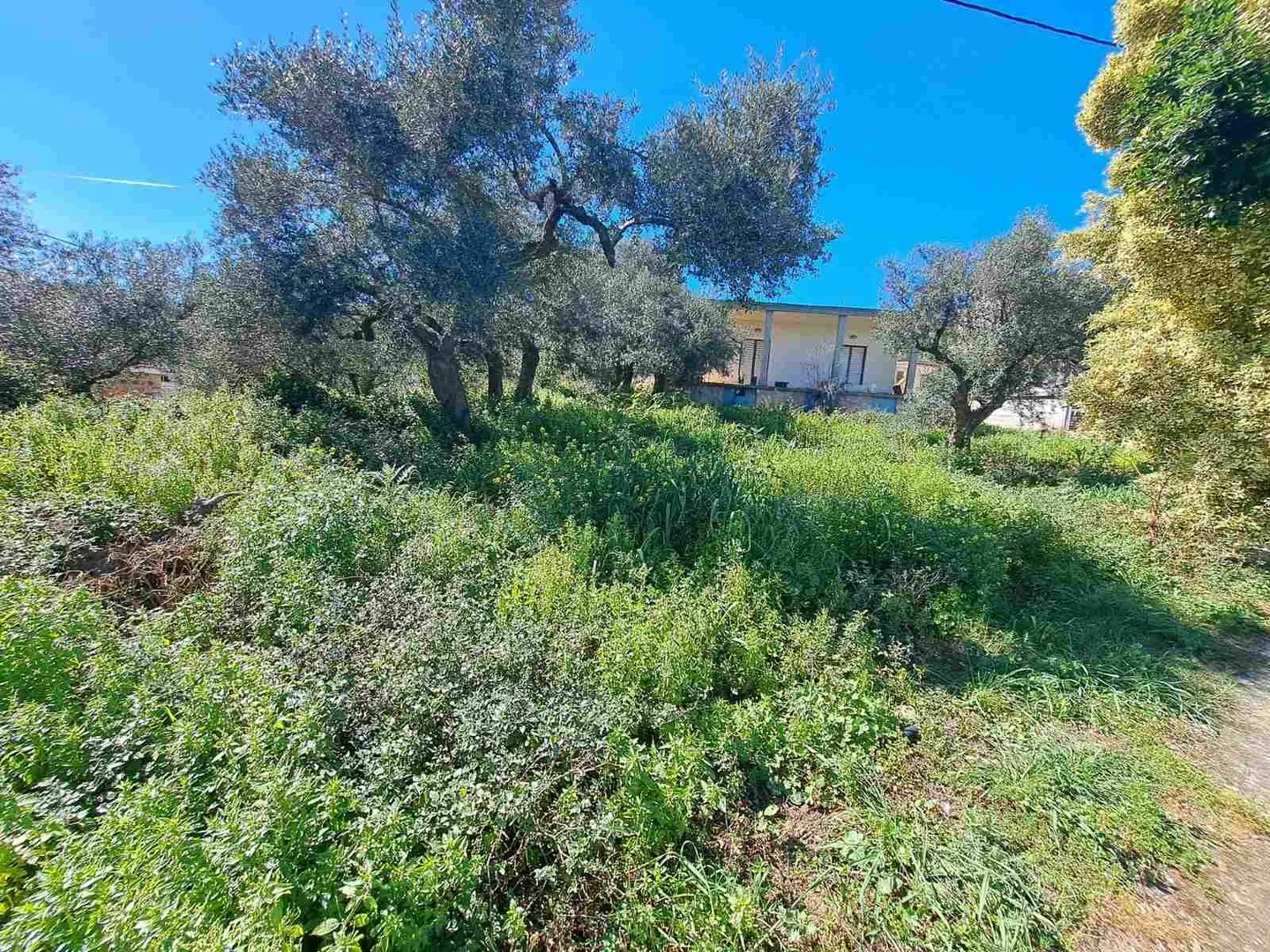 2 - vente terrain voukoliés crète grèce