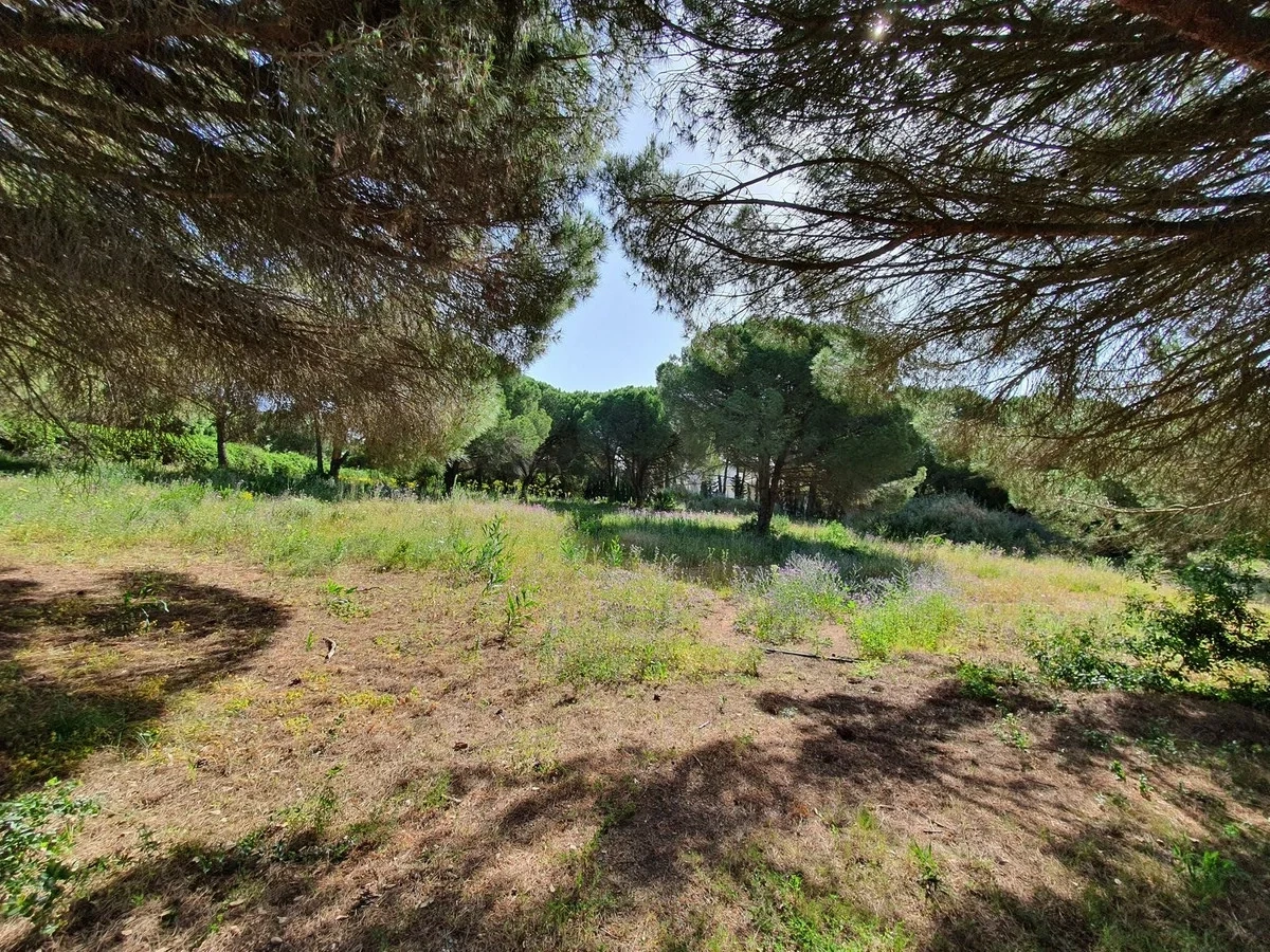 2 - venta terreno sotogrande andalucía españa