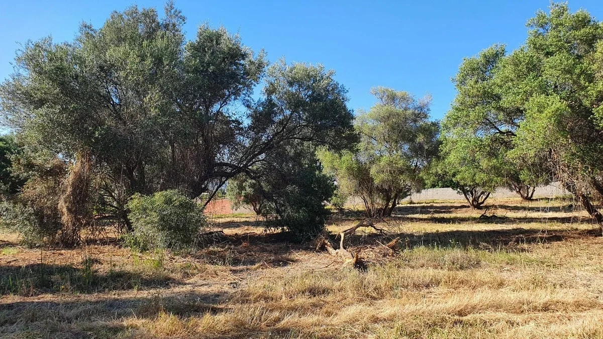 1 - verkauf grundstück san pedro de alcántara andalusien spanien
