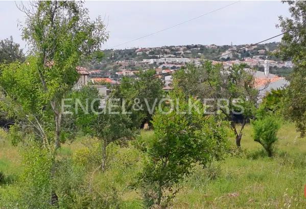 2 - venta terreno boliqueime algarve portugal