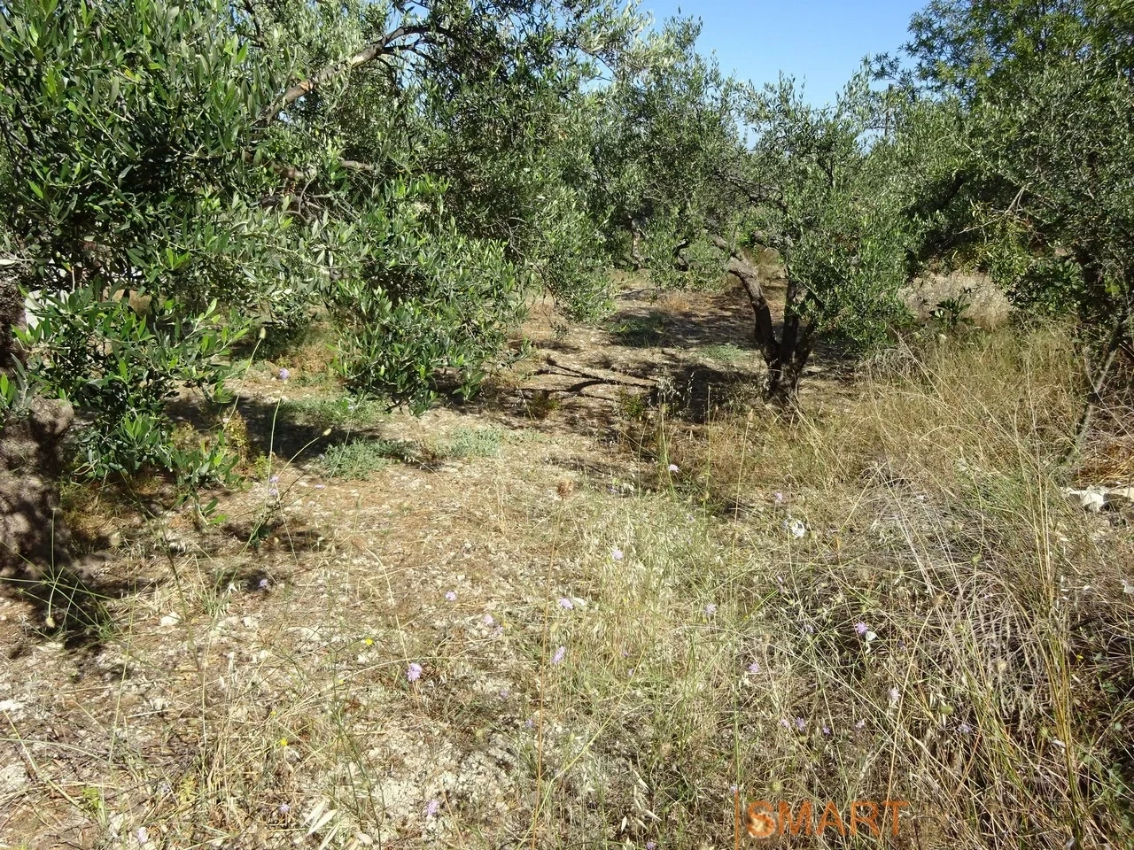 2 - vente terrain héraklion crète grèce