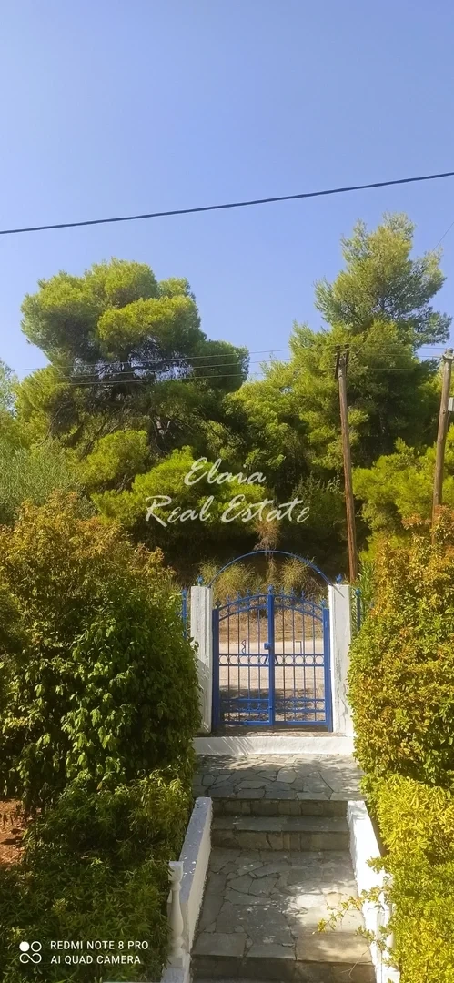 2 - venta casa a pie de playa theológos grecia central grecia