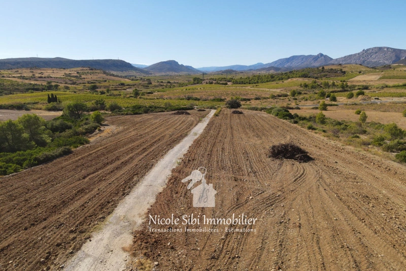 1 - venta terreno tautavel pirineos orientales francia