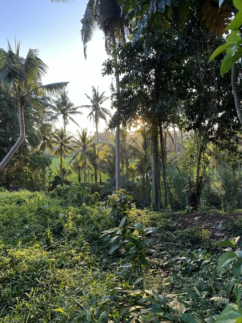 2 - venta villa ubud bali indonesia