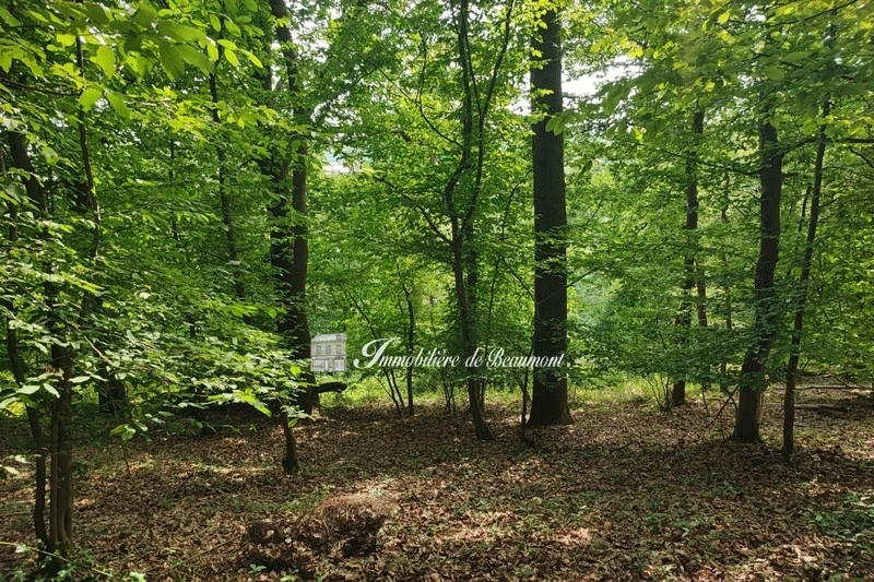 1 - verkoop terrein beaumont-le-roger eure frankrijk