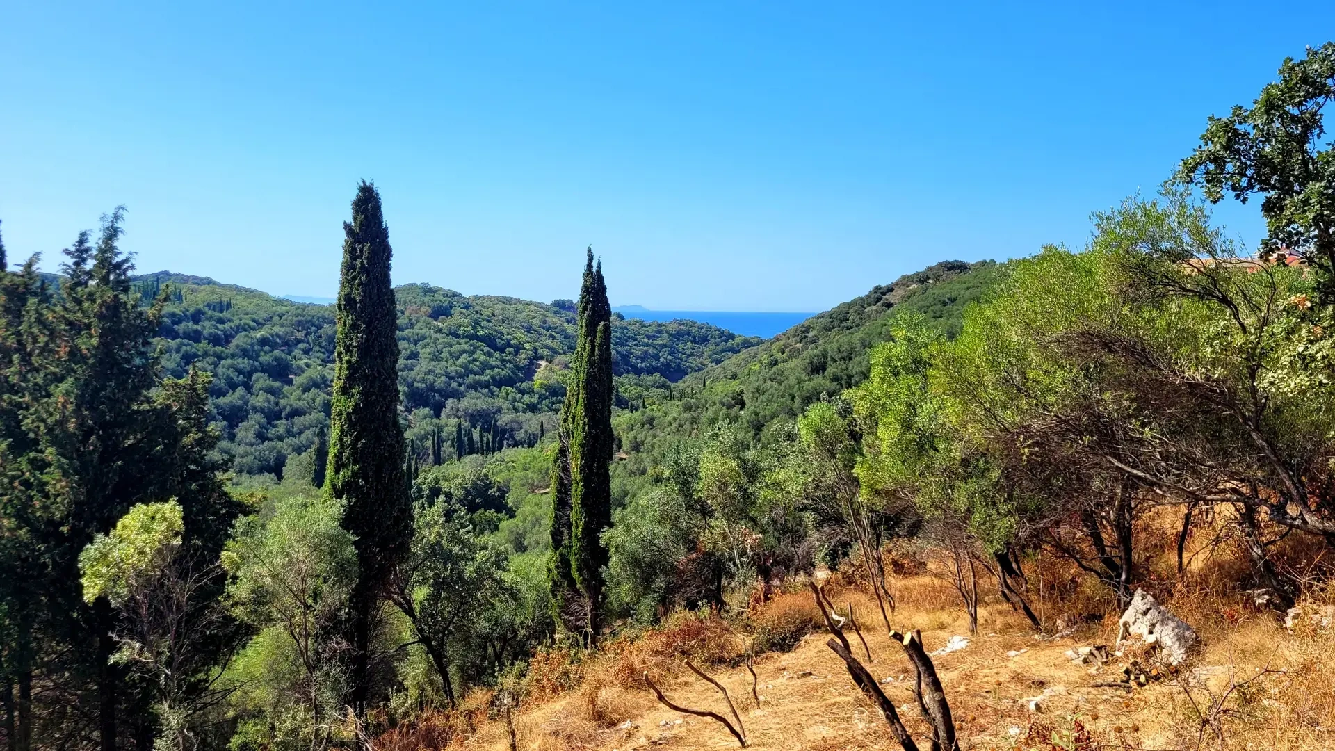 1 - vendita terreno vista mare corfu isole ioniche grecia