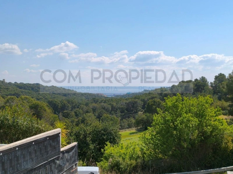 2 - plot of land for sale in gènova majorca - balearic islands spain