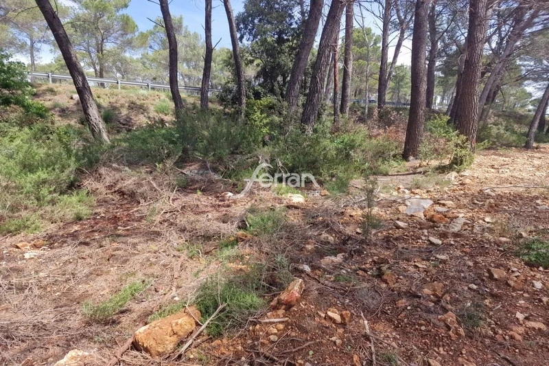 1 - vente terrain salernes var france
