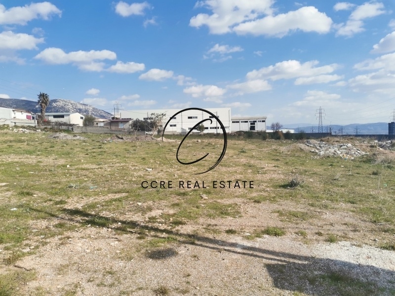 2 - vente terrain aspropirgos attique grèce