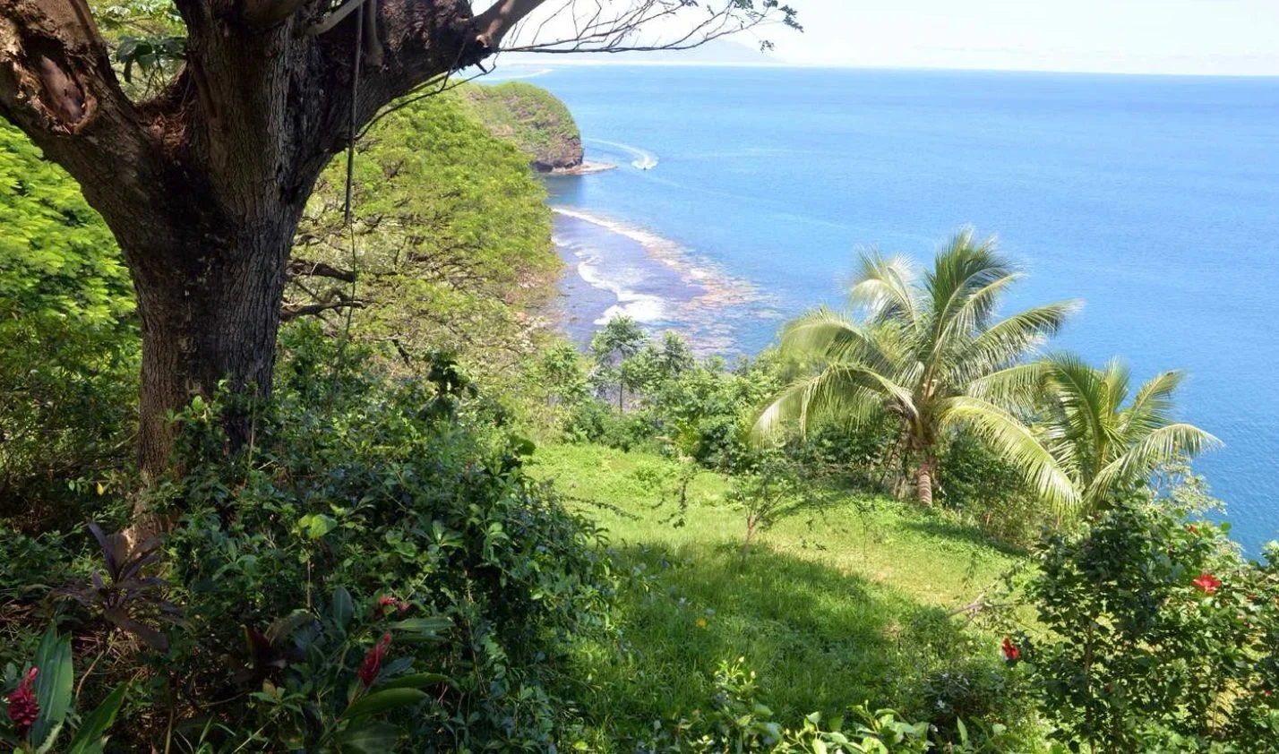 1 - verkoop landgoed aan het water tahiti-papeete windward islands frans-polynesië