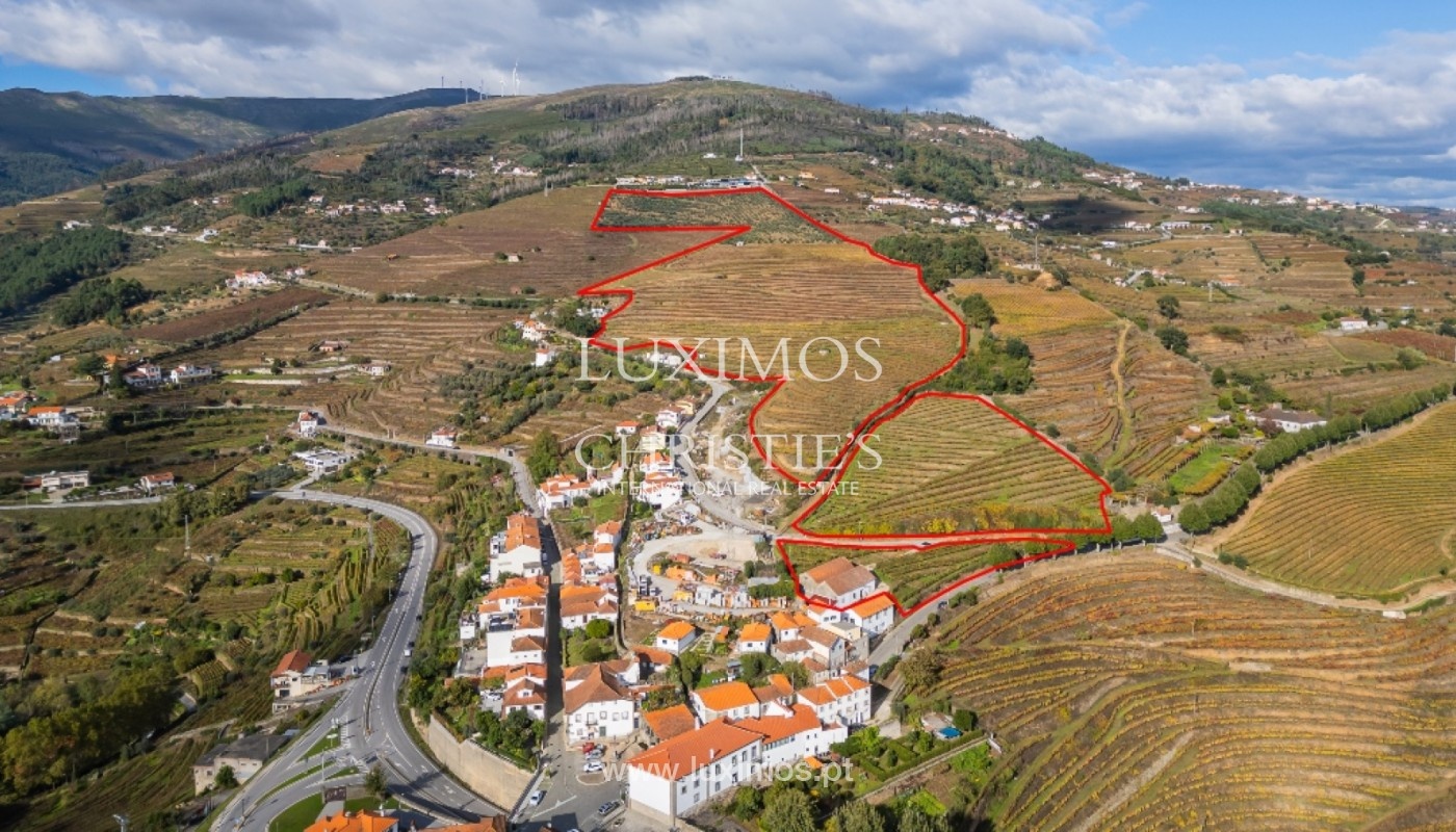 1 - venta propiedad mesão frio región norte portugal