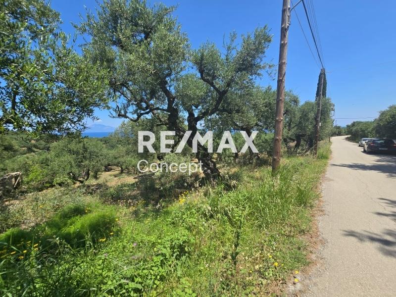2 - venta terreno vista al mar zante islas jónicas grecia