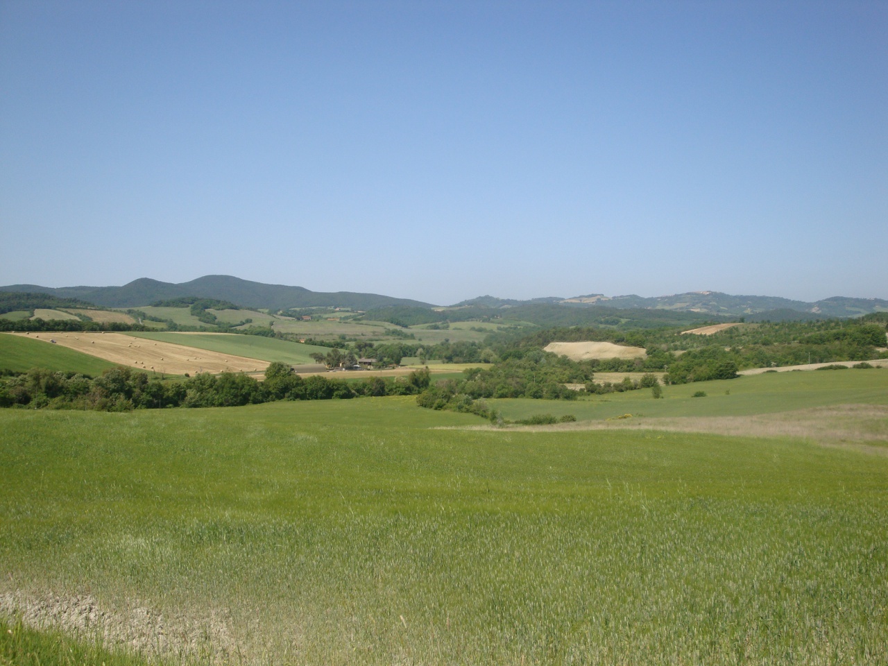 2 - vente terrain pomarance toscane italie