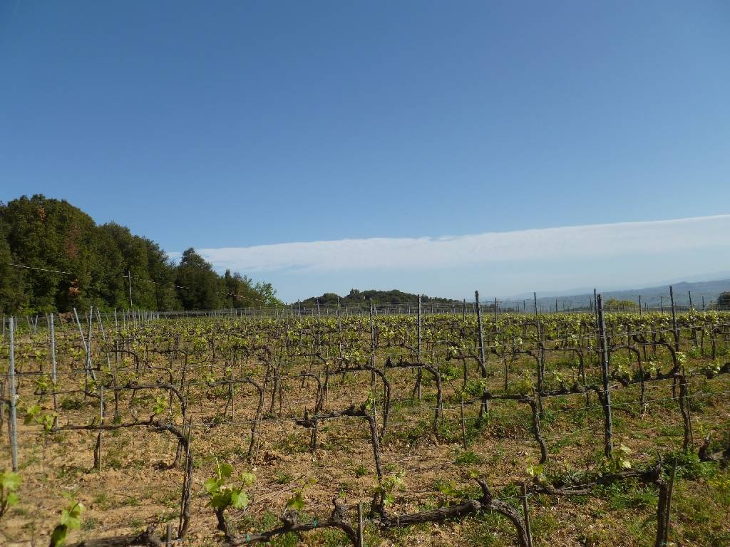 2 - venda espaço comercial gambassi terme toscana itália