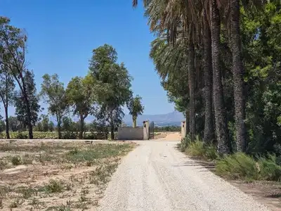 2 - vente villa elche - costa blanca communauté valencienne espagne