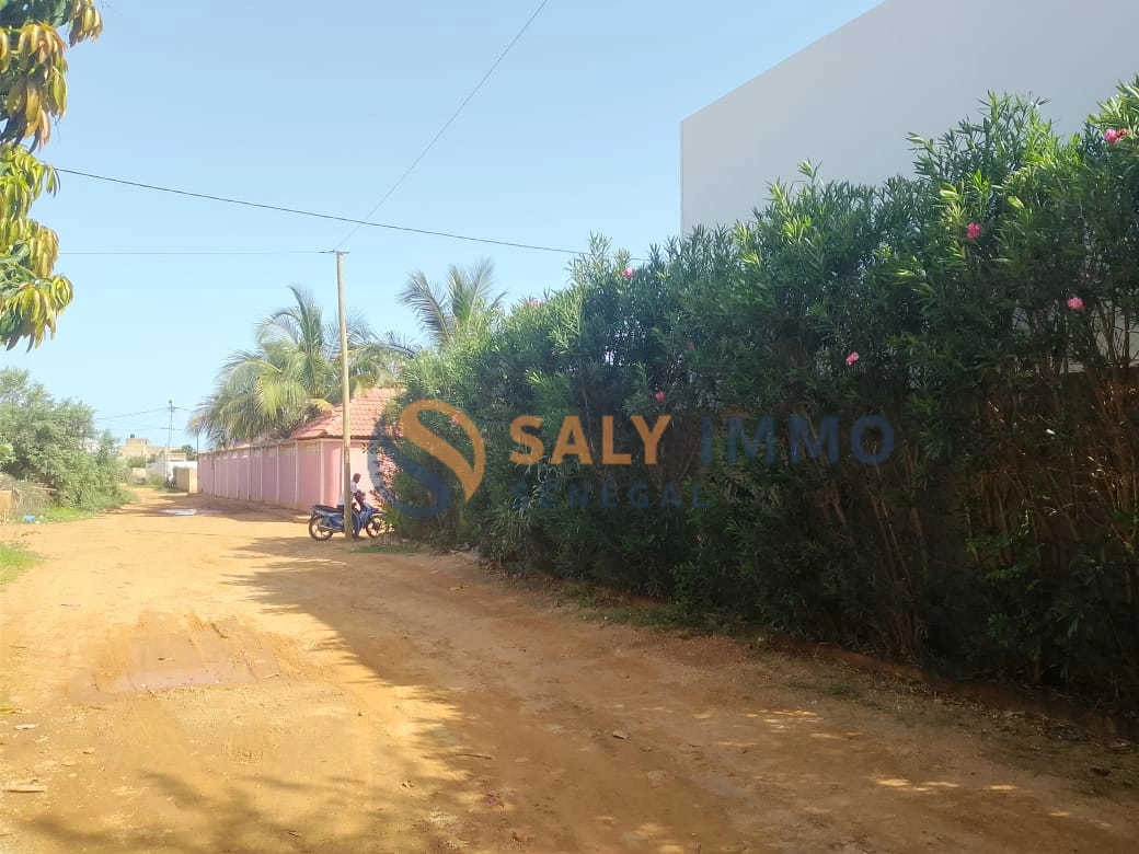 2 - vente villa la somone thiès sénégal