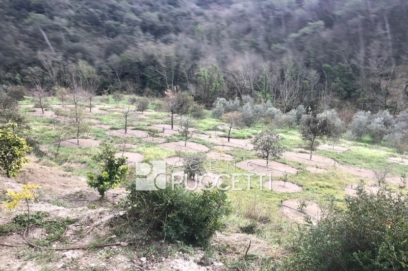 2 - plot of land for sale in vence alpes-maritimes france