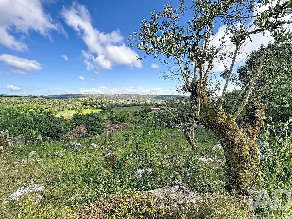1 - plot of land for sale in porto de mós centro region portugal