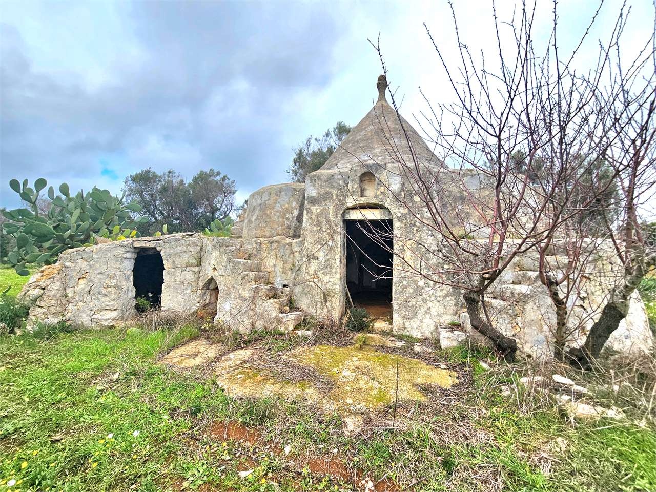 1 - verkoop landgoed carovigno apulia italië
