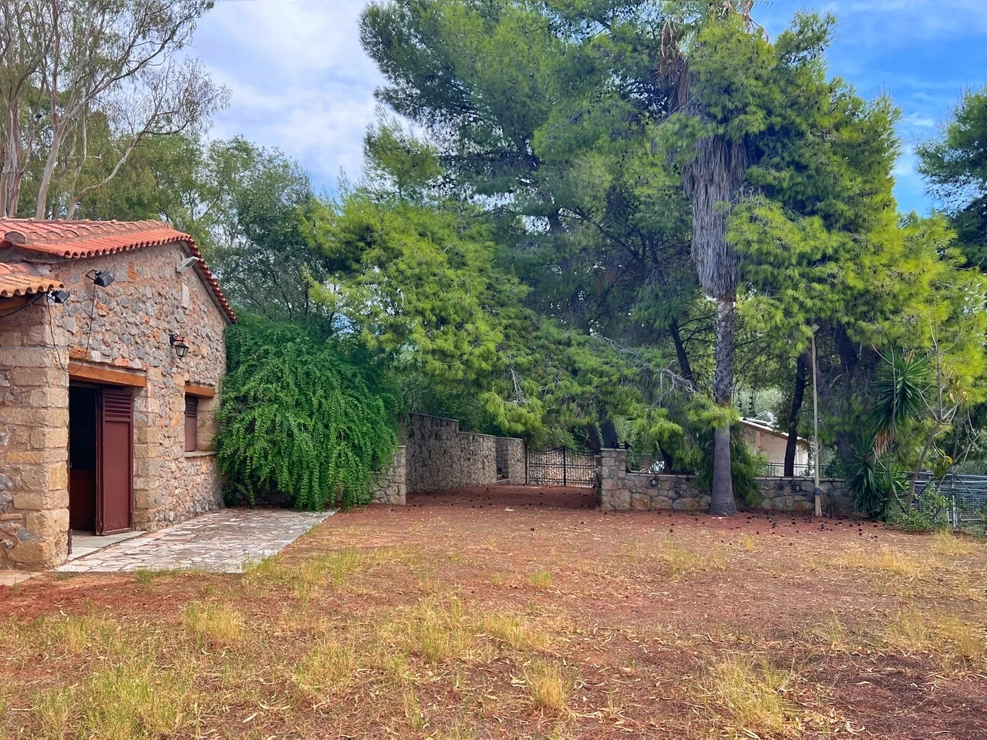 2 - vente terrain vue mer avia péloponnèse grèce