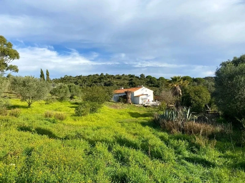 1 - house for sale in melides alentejo portugal