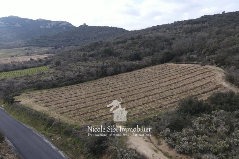 2 - verkoop terrein lansac pyrénées-orientales frankrijk