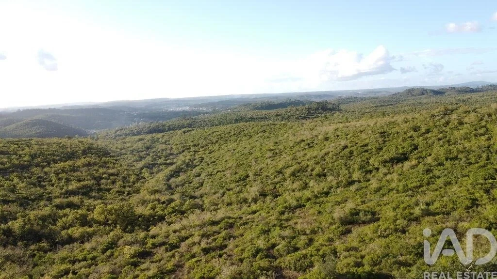 1 - plot of land for sale in ourém centro region portugal