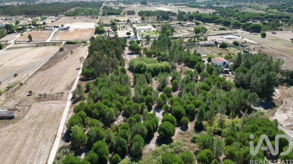 2 - plot of land for sale in benavente alentejo portugal