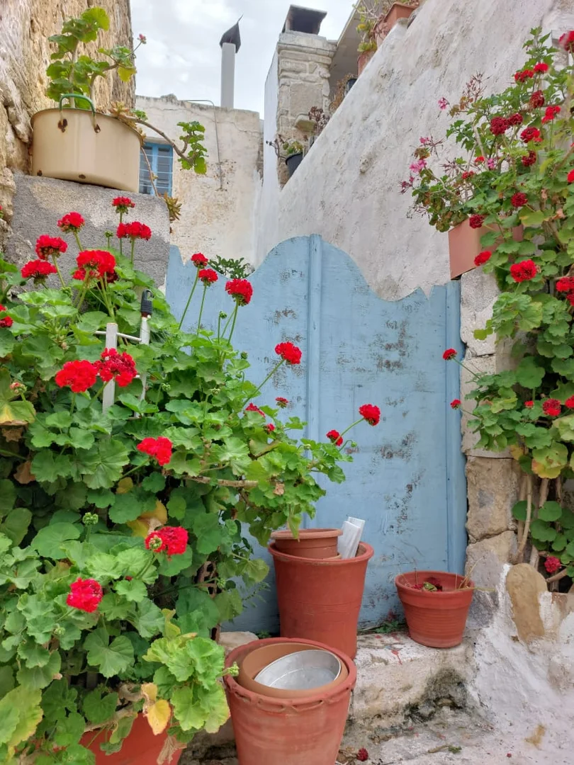 1 - verkoop huis lithínes crete griekenland