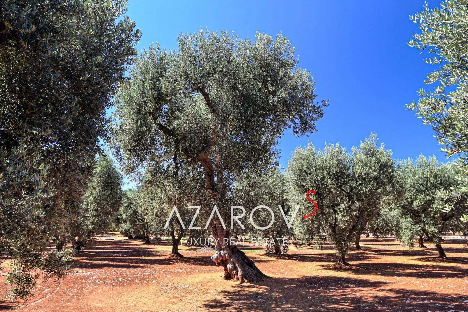 2 - vente maison badalucco ligurie italie