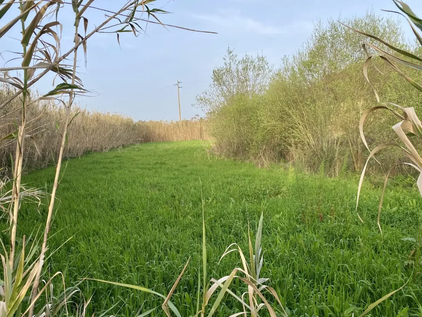 2 - vendita terreno famalicão nazaré regione centro portogallo