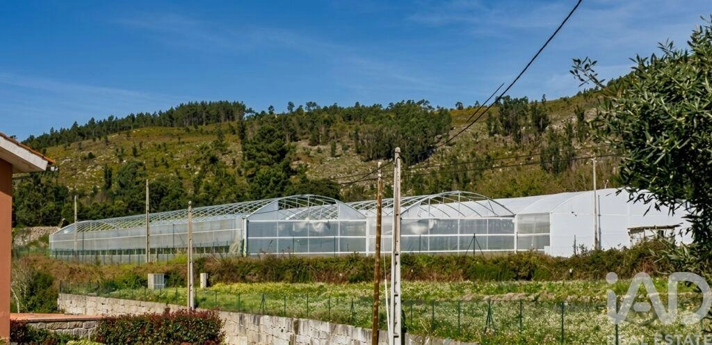 1 - plot of land for sale in valença north region portugal