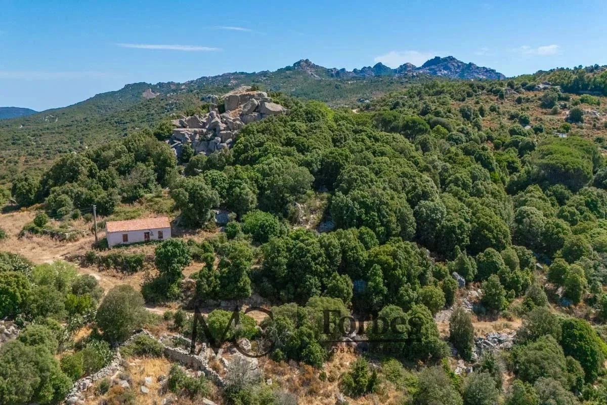 1 - verkoop terrein tempio pausania sardinia italië