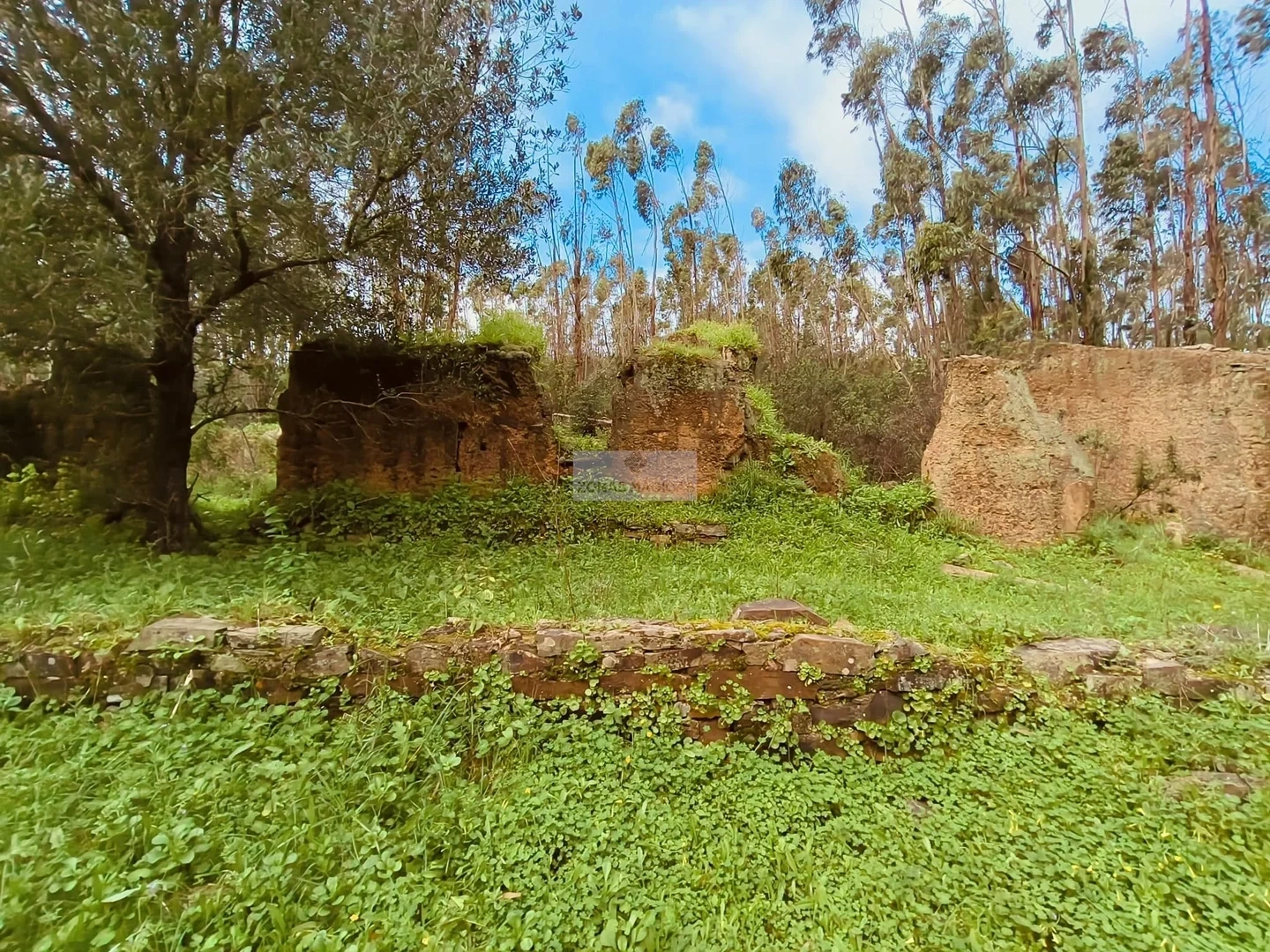2 - venta terreno monchique algarve portugal