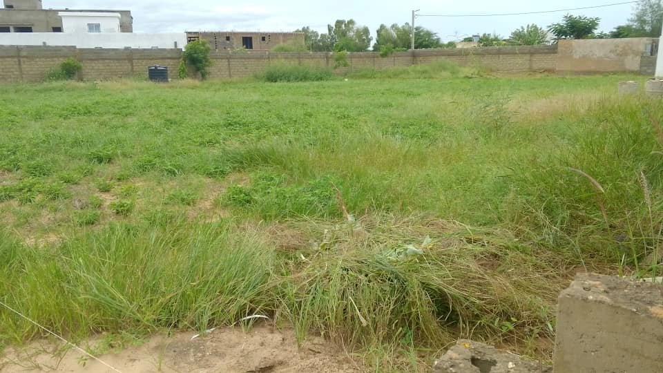 1 - venta terreno ngaring thiès senegal