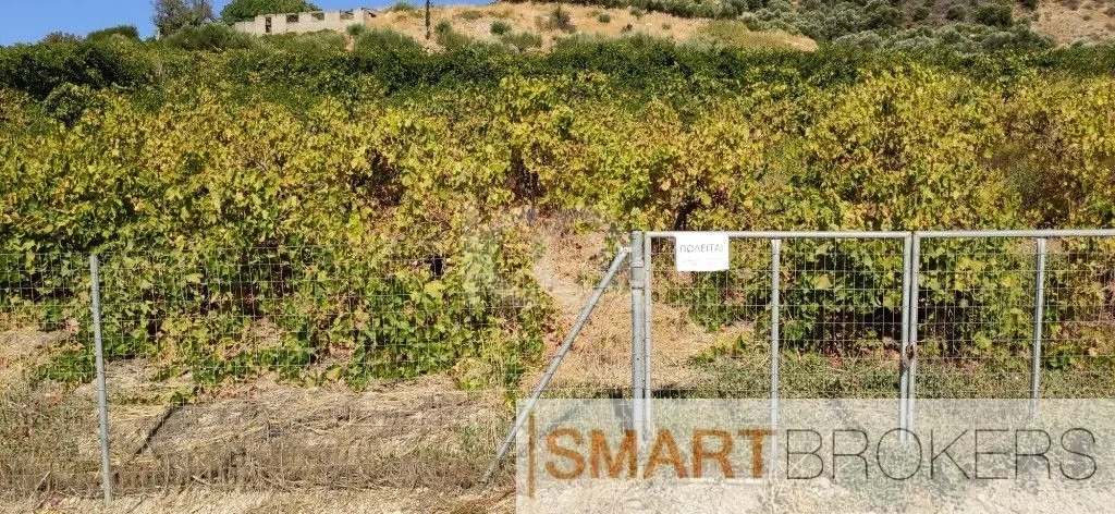 1 - vente terrain temenos crète grèce