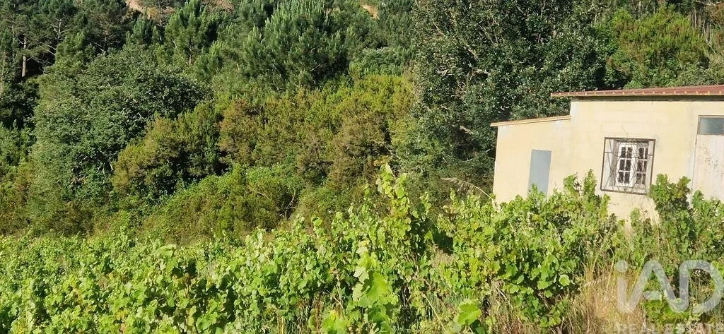 1 - venda terreno mafra região de lisboa portugal