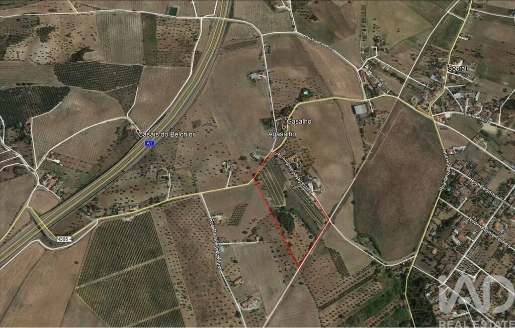 1 - plot of land for sale in santarém alentejo portugal