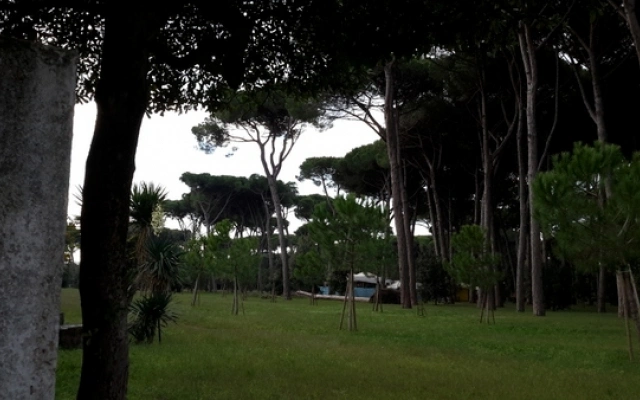2 - apartment for sale in viareggio tuscany italy